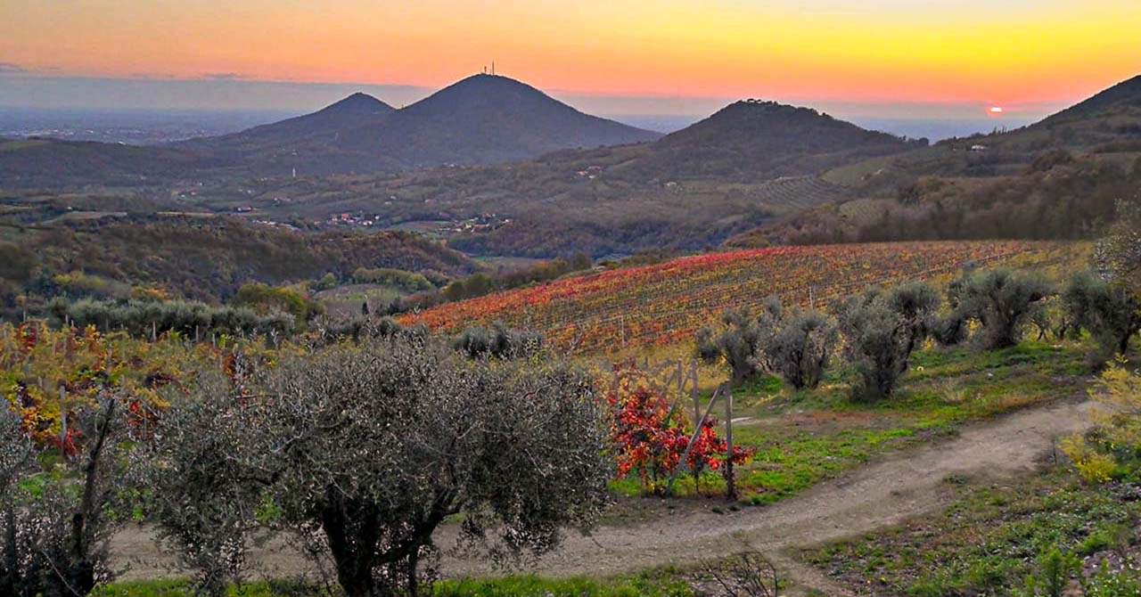 Bentornato Autunno
Atmosfere calde e avvolgenti